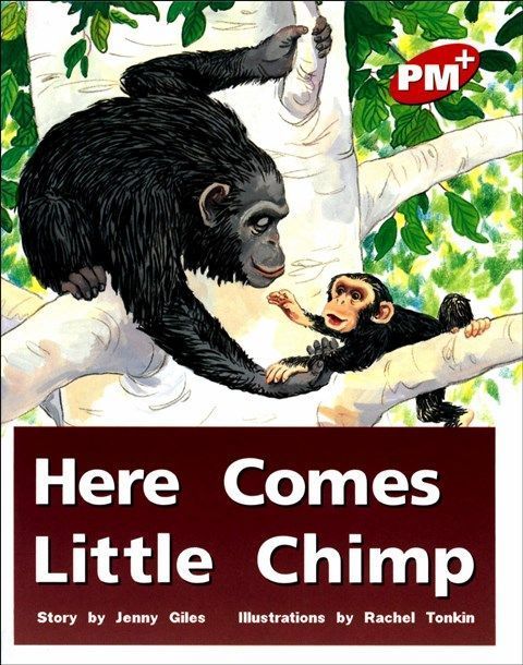 PM Plus Red (3) Here Comes Little Chimp