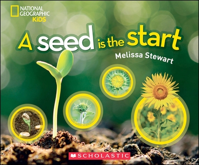 A Seed Is the Start (11003)