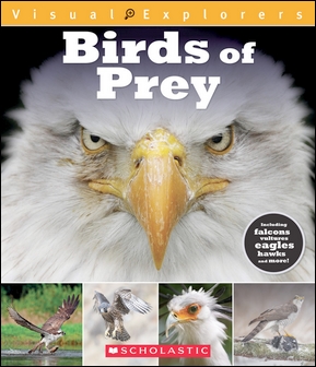 Birds of Prey (11003)